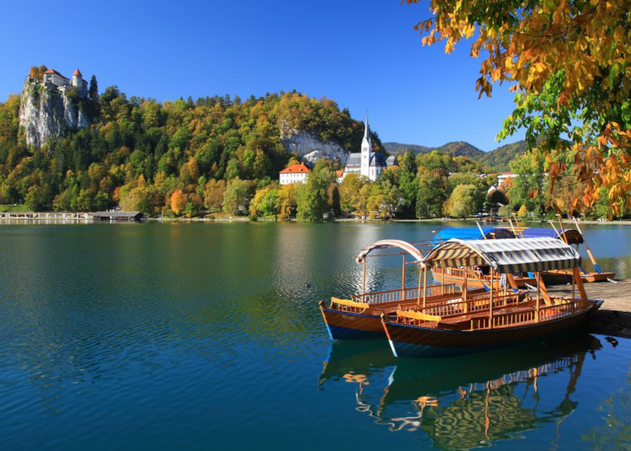 Bled castle